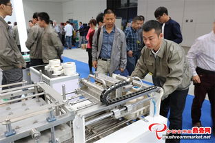 全國第十一屆菌博會 商務信息咨詢助力產(chǎn)業(yè)升級與貿(mào)易拓展